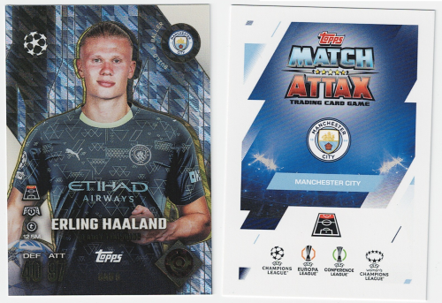 BAB9 Erling Haaland.png